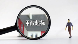 寵物們也會甲醛中毒？快看這些甲醛超標特征你家有沒有？